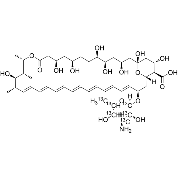 Amphotericin B-13C6 (amphotericin B-13C6)